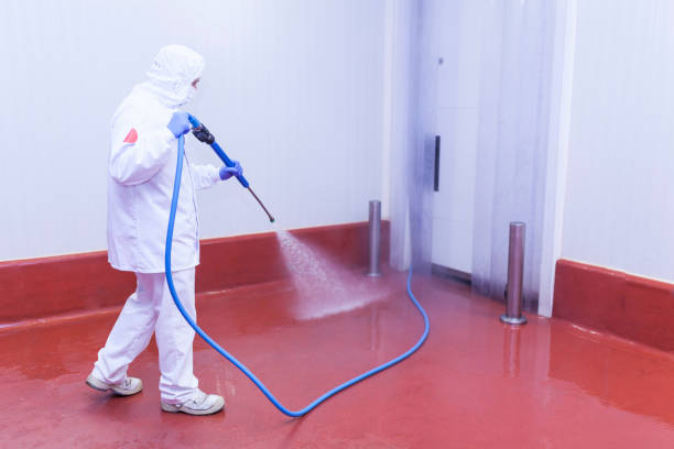 Best Window and Screen Pressure Cleaning in Centerburg, OH