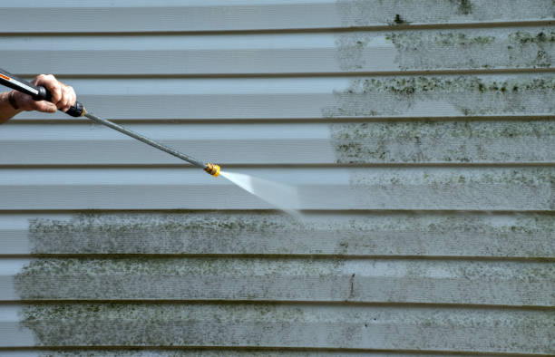 Best Roof Cleaning and Mildew Removal in Centerburg, OH